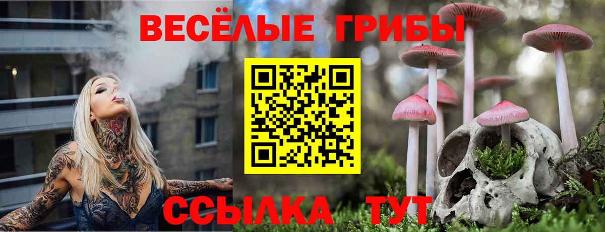 Галлюциногенные грибы GOLDEN TEACHER Ставрополь