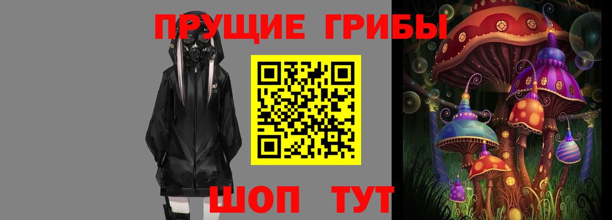 Псилоцибиновые грибы прущие грибы  Вход с VPN  Ставрополь 