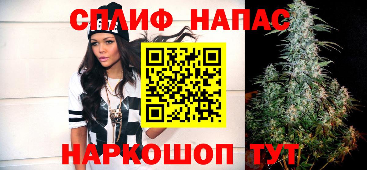 Конопля конопля Ставрополь